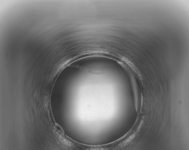 X0000054420985200508051801