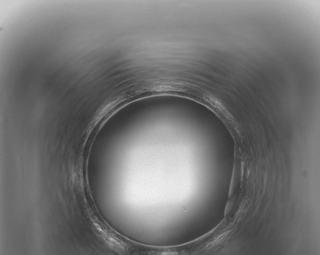 X0000054420986200508051801