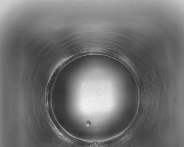 X0000054420987200508051801