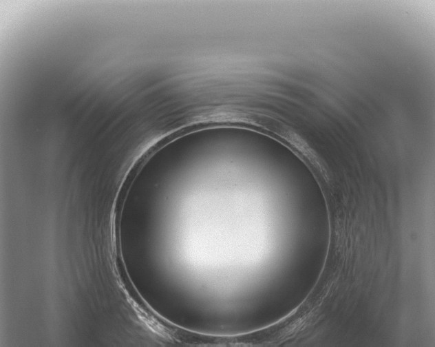 X0000054420988200508051801