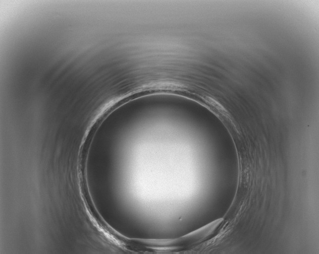 X0000054420989200508051801