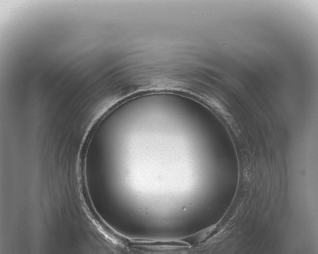 X0000054420990200508051801