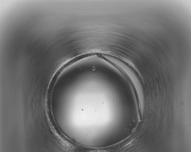 X0000054420991200508051801