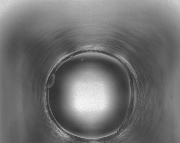 X0000054420992200508051801