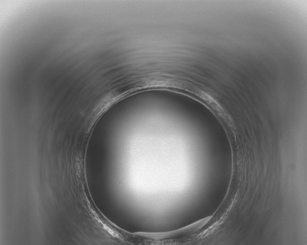 X0000054420993200508051801