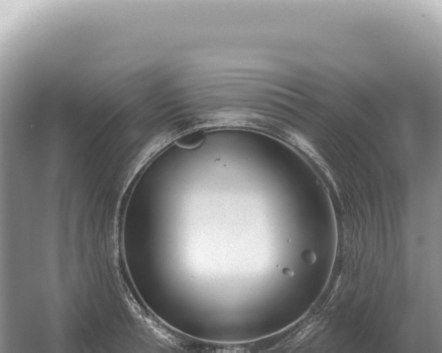 X0000054420994200508051801