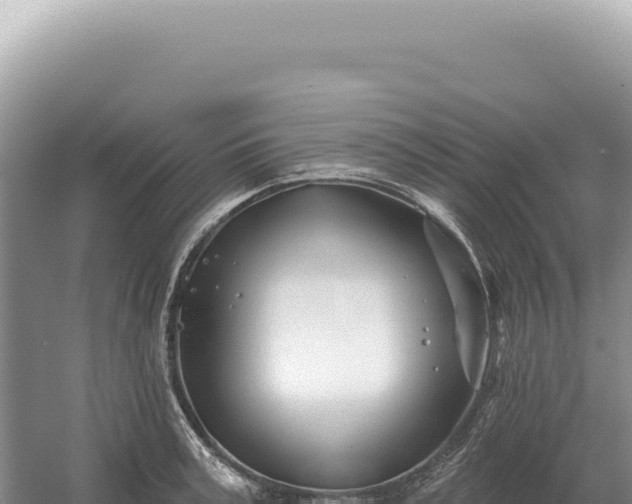 X0000054420995200508051801