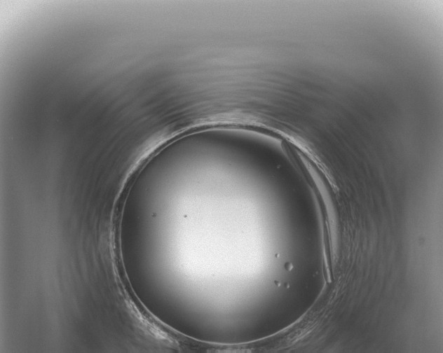 X0000054420998200508051801