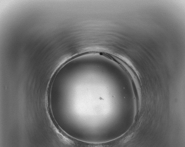 X0000054420999200508051801