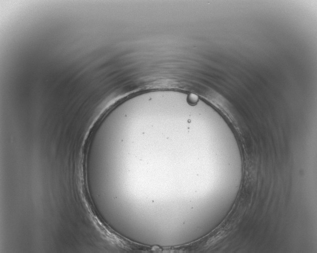 X0000054421000200508051801