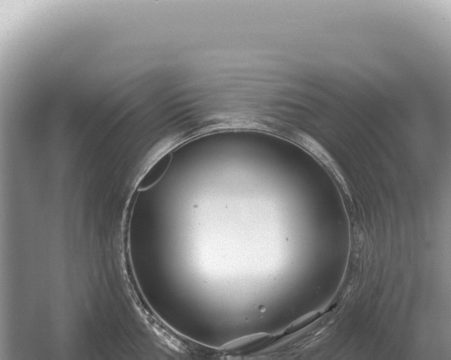 X0000054421002200508051801