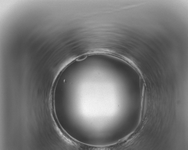 X0000054421003200508051801