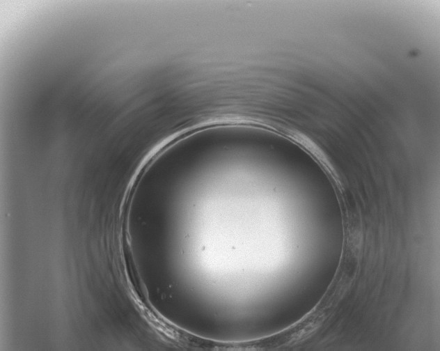 X0000054421004200508051801