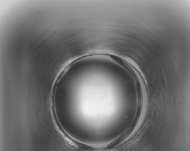 X0000054421005200508051801