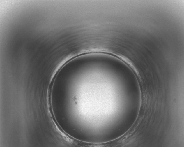 X0000054421006200508051801