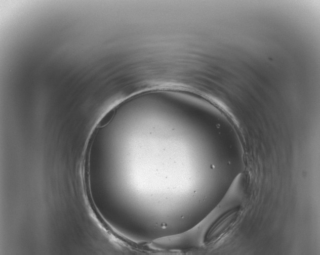 X0000054421007200508051801