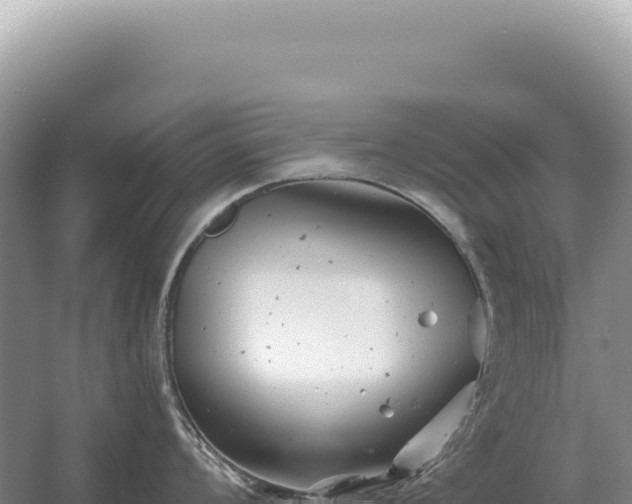 X0000054421008200508051801