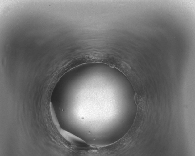 X0000054421009200508051800