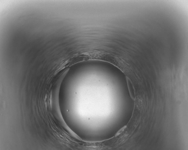 X0000054421010200508051800