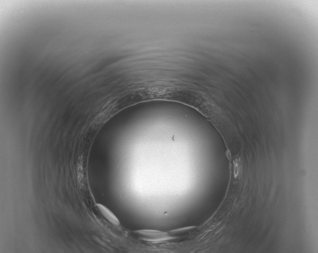 X0000054421011200508051800