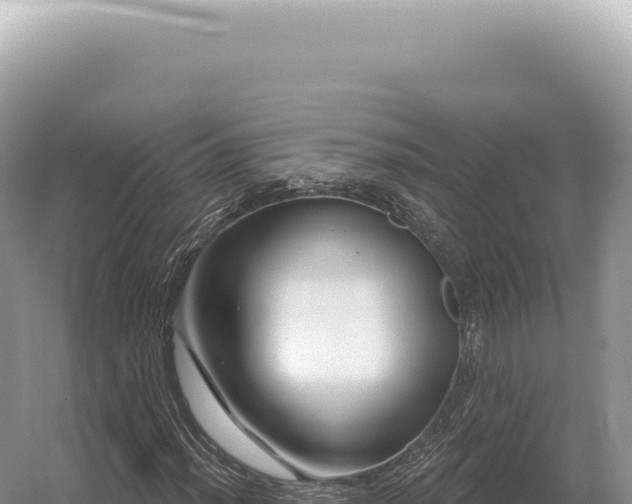 X0000054421012200508051800