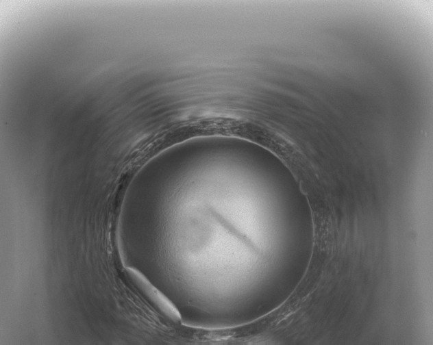 X0000054421013200508051800