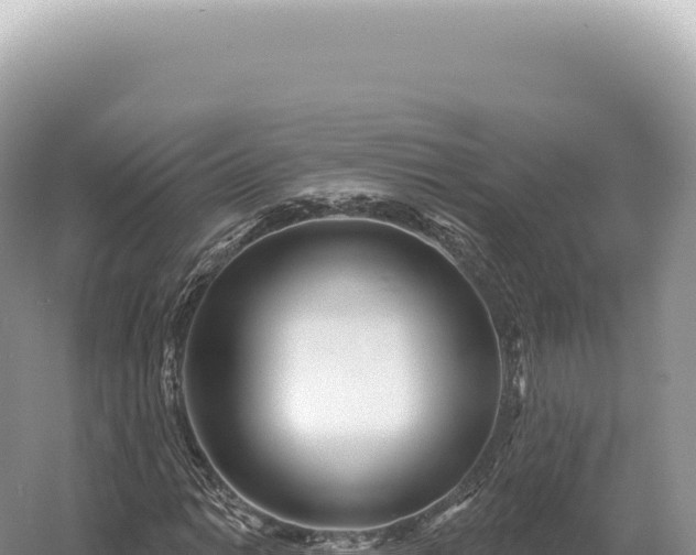 X0000054421014200508051800