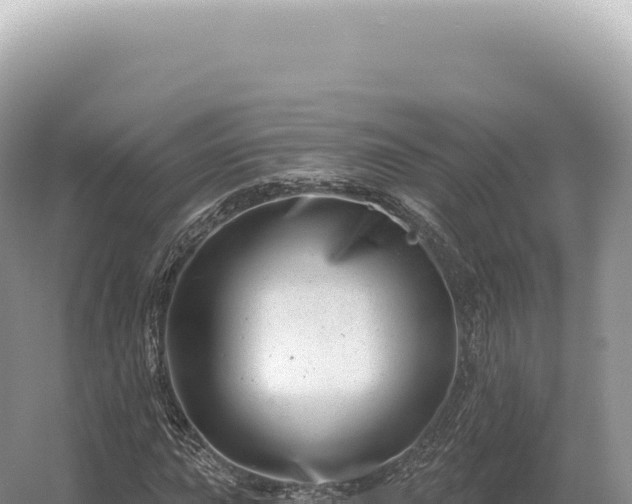 X0000054421015200508051800