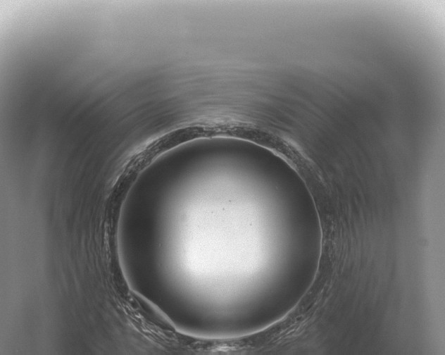 X0000054421016200508051800