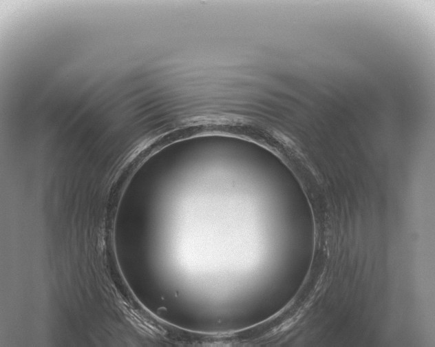 X0000054421017200508051800