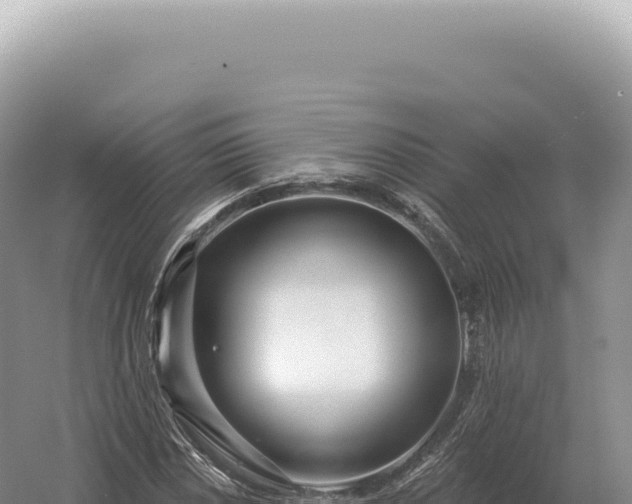 X0000054421018200508051800