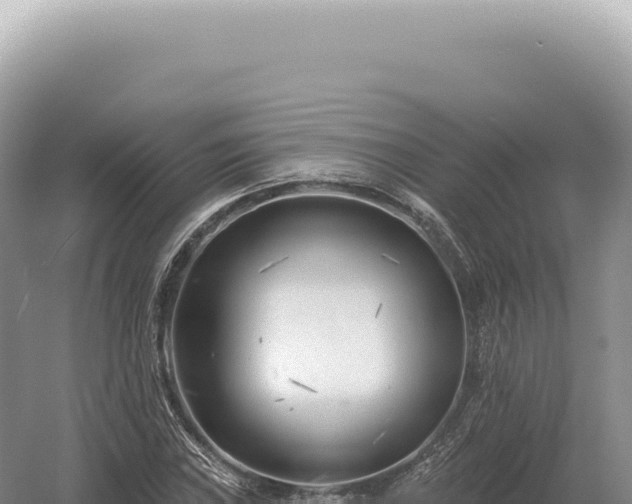 X0000054421019200508051800