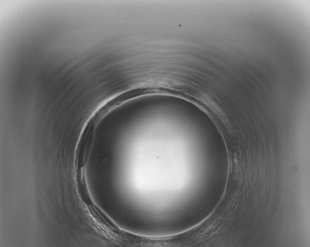 X0000054421020200508051800