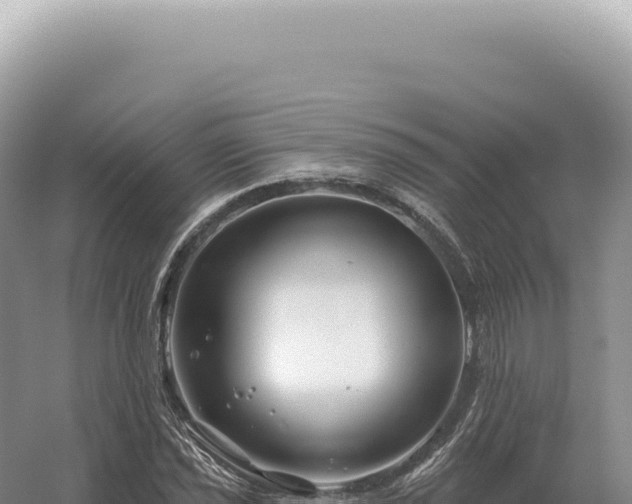 X0000054421021200508051800