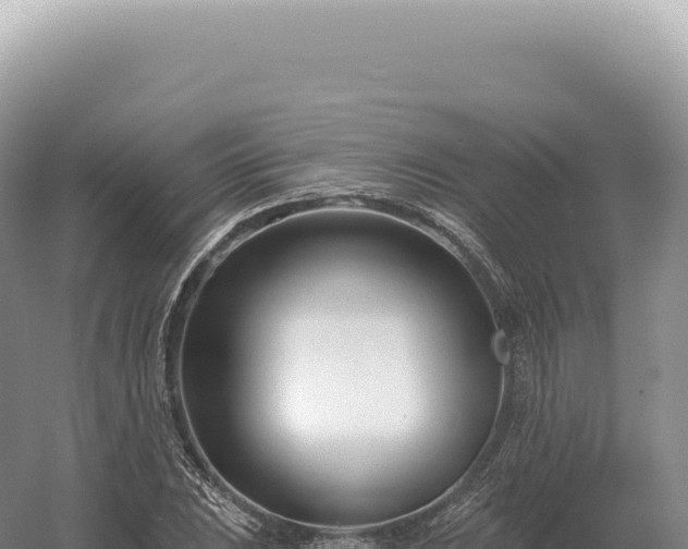 X0000054421023200508051800