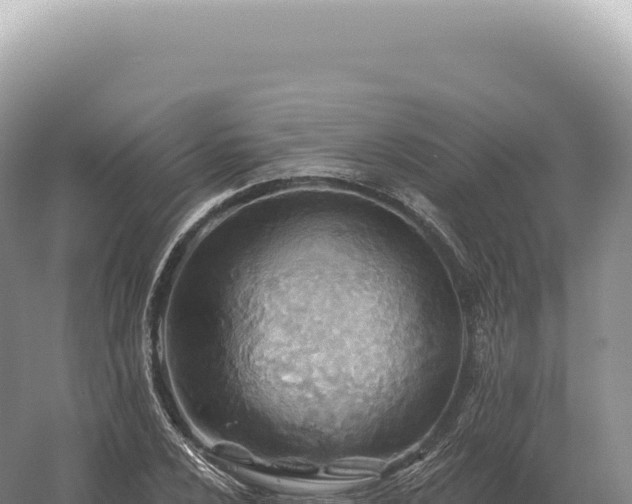 X0000054421024200508051800