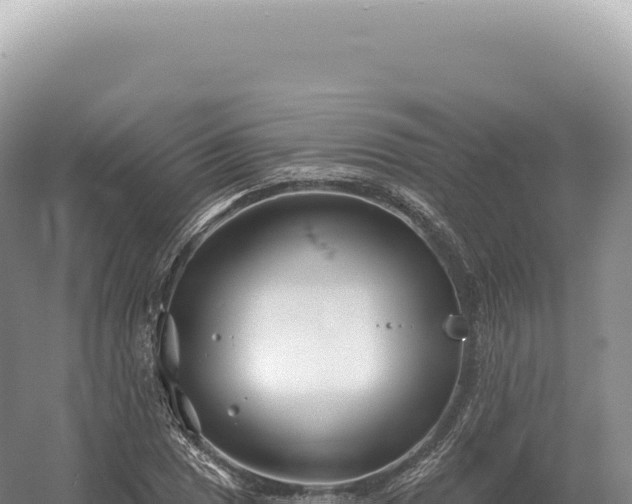 X0000054421025200508051800