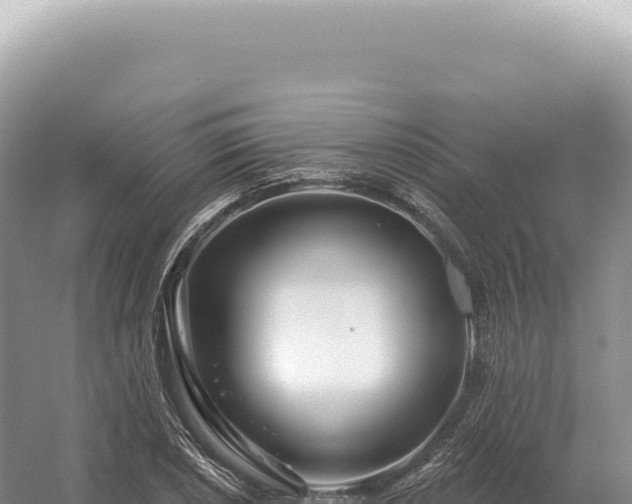 X0000054421026200508051800