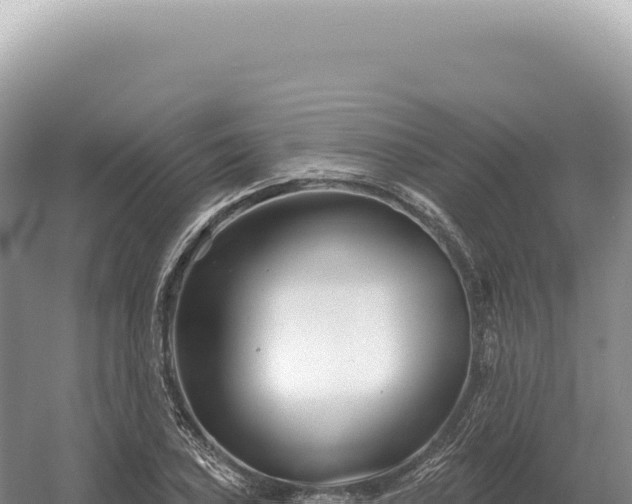 X0000054421027200508051800