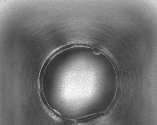 X0000054421028200508051800