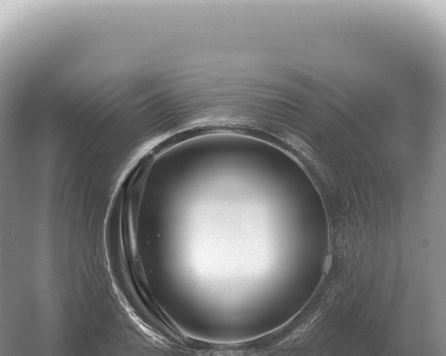 X0000054421030200508051800