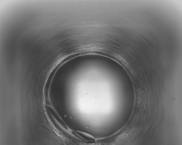 X0000054421031200508051800