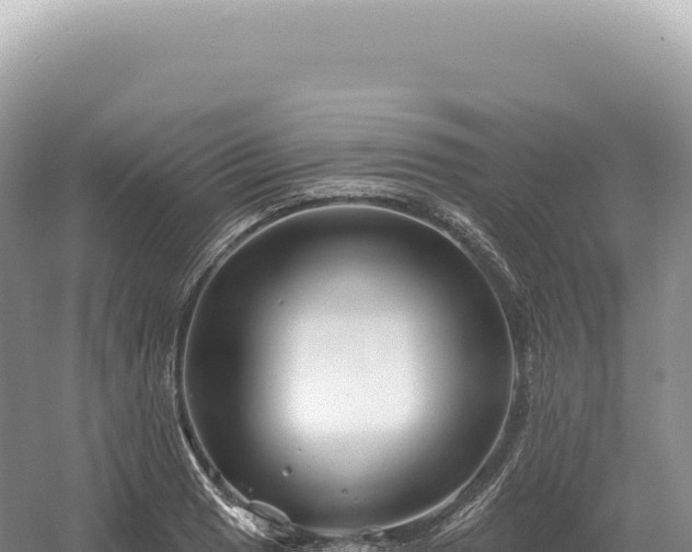 X0000054421033200508051800