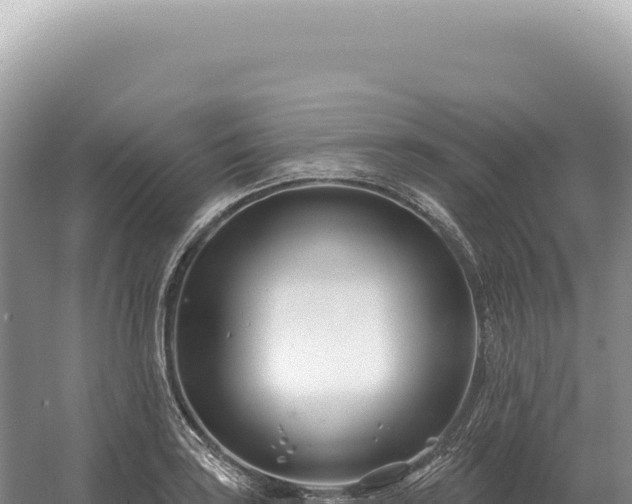 X0000054421035200508051800