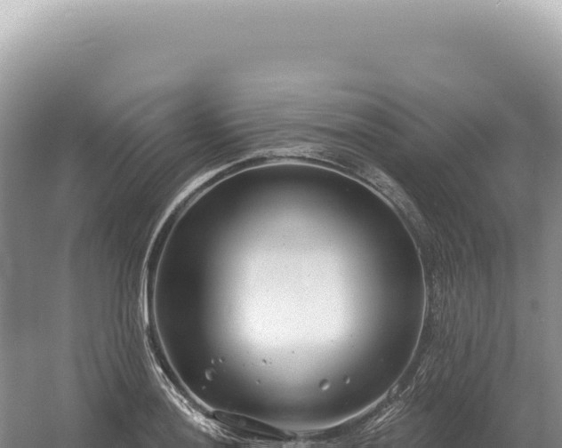 X0000054421036200508051800