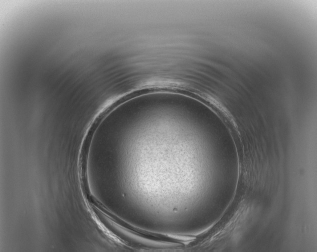 X0000054421037200508051800