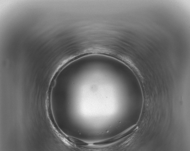 X0000054421040200508051800