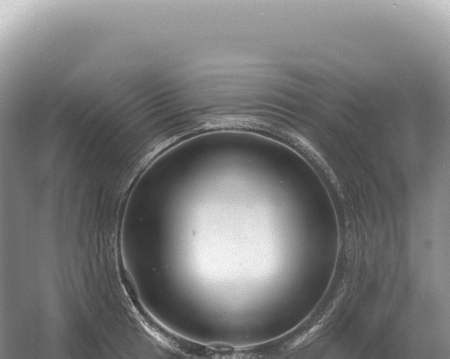 X0000054421041200508051800