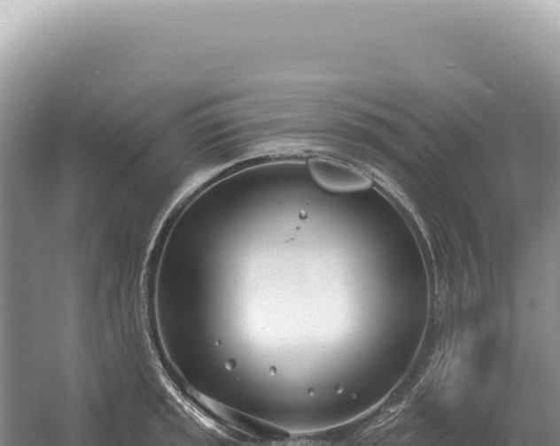 X0000054421045200508051800