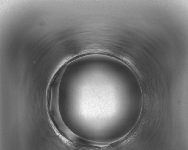 X0000054421046200508051800